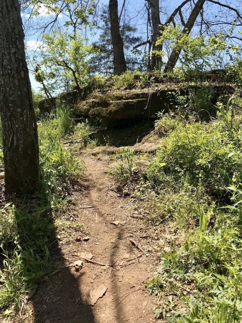 A narrow dirt path winds through lush greenery and trees, leading to a rocky outcrop under a clear blue sky.