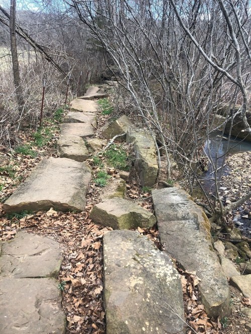 A rocky path lined with bare trees and dry leaves, leading alongside a stream in a natural setting.