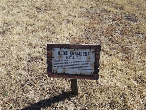 Sign marking the grave of Alice Chambers, dated May 5, 1878, with a brief description of her life.