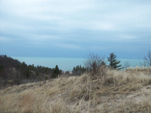 A sandy dune with sparse grass and trees, overlooking a calm lake under a cloudy sky.