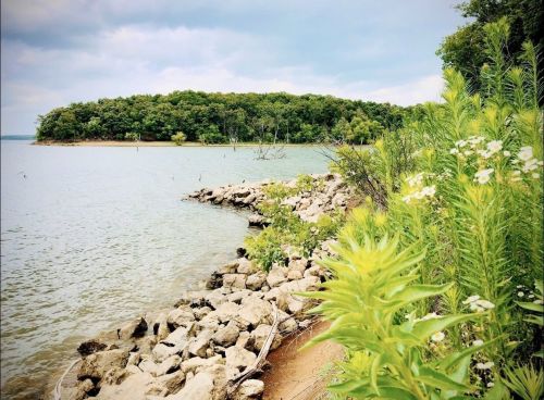 A serene lakeside view with rocky shorelines and lush greenery under a cloudy sky.
