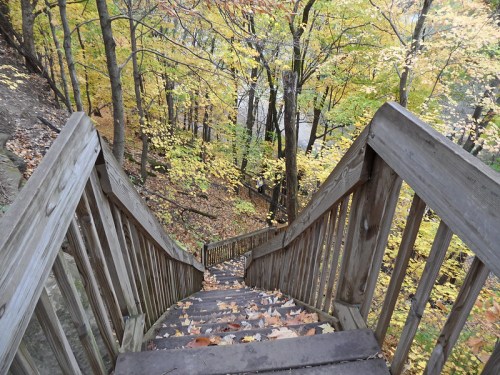 Wooden stairs lead down through colorful autumn foliage to a forested area near a river.