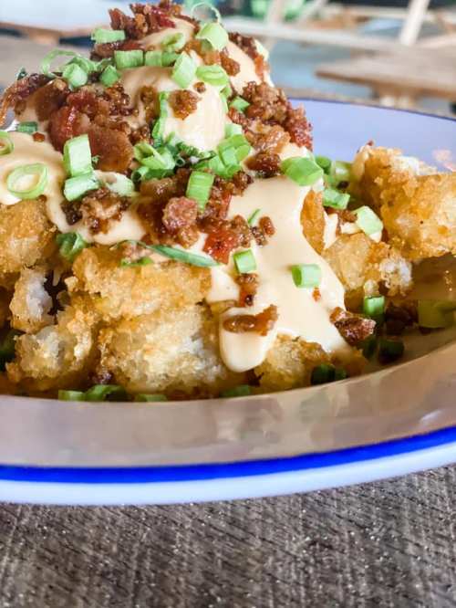 A close-up of crispy tater tots topped with bacon, green onions, and a creamy sauce on a blue-rimmed plate.
