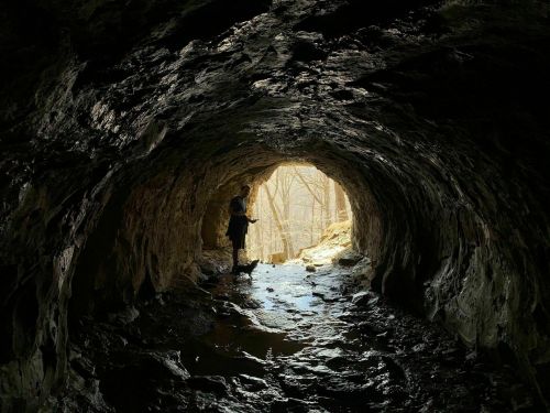A silhouette of a person standing in a dark cave, with light streaming in from the entrance.