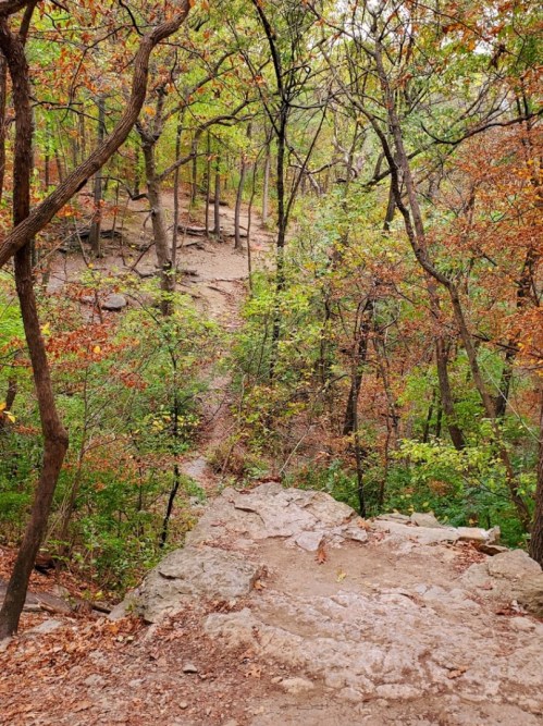 A rocky path leads down through a vibrant forest with green and autumn-colored trees.
