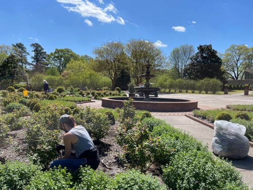 Two people gardening near a fountain in a sunny park, surrounded by lush greenery and blooming flowers.