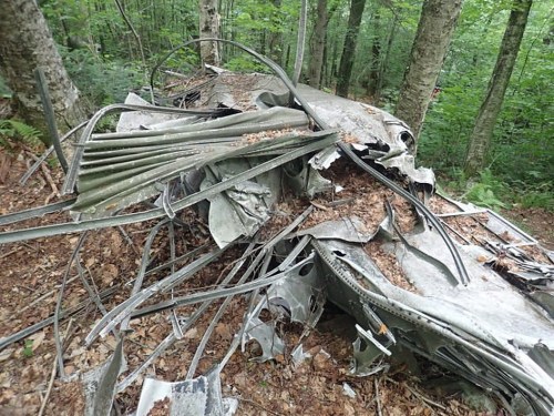 Wreckage of an aircraft partially covered in leaves, surrounded by trees in a dense forest.