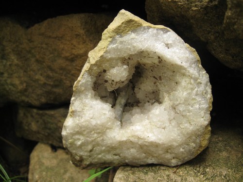 A rough, white crystal formation embedded in a rock, surrounded by earthy tones and textures.