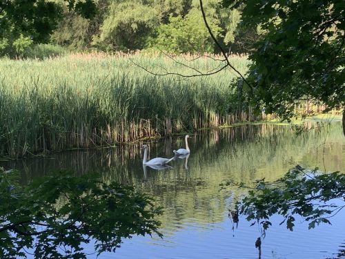 New York's Old Rifle Range Trail Is One Of The Region's Best Hikes