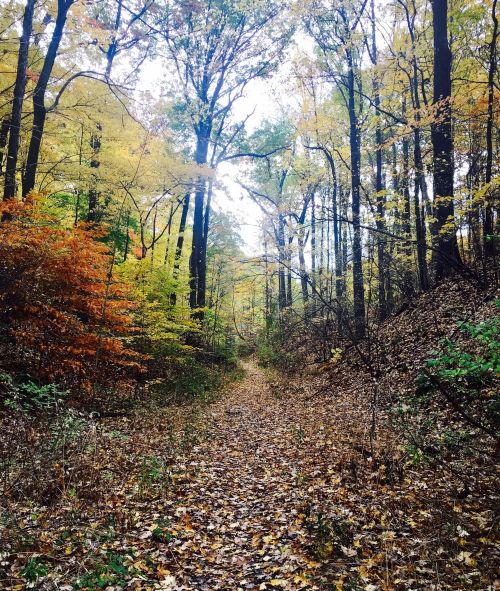 New York's Old Rifle Range Trail Is One Of The Region's Best Hikes