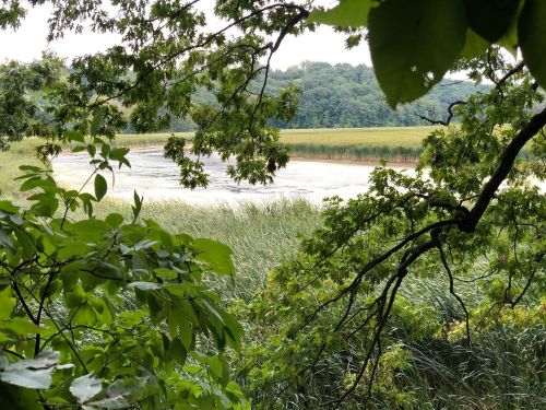 New York's Old Rifle Range Trail Is One Of The Region's Best Hikes