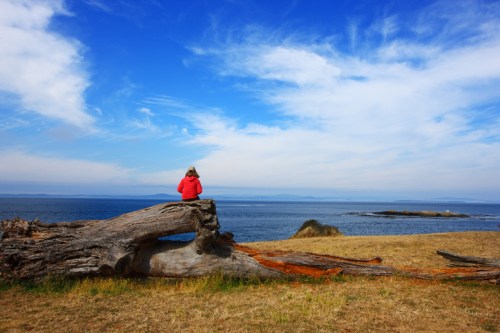 A person in a red jacket sits on a log, gazing at the ocean under a blue sky with scattered clouds.