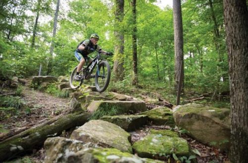 A mountain biker jumps over rocky terrain in a lush green forest.