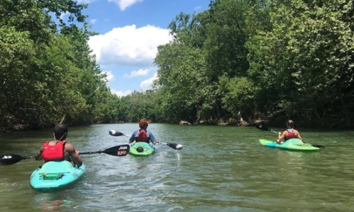 Three people kayaking on a calm river surrounded by lush green trees under a bright blue sky.