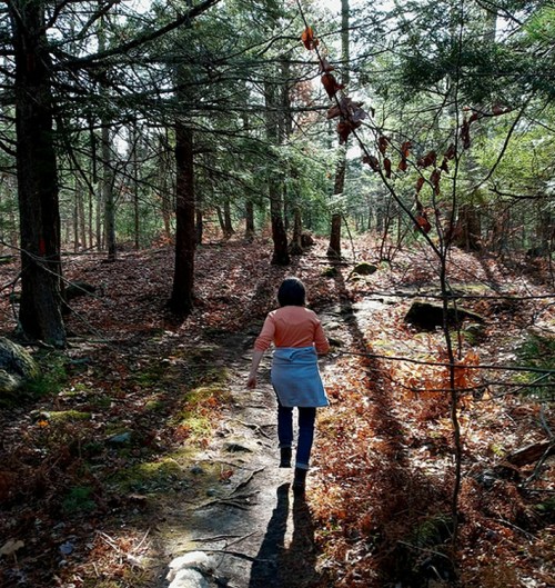 A person walks along a forest trail, surrounded by trees and fallen leaves, with sunlight filtering through the branches.