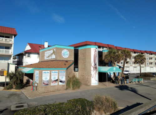 A coastal building with a teal awning, featuring marine-themed signage and palm trees under a clear blue sky.
