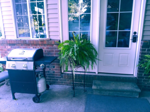 A black grill next to a potted fern by a front door with large windows and a brick exterior.