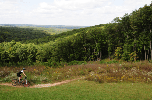 A cyclist rides along a trail in a lush green landscape with rolling hills and a blue sky in the background.
