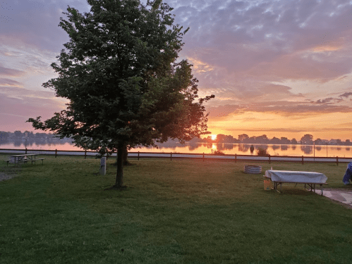 A serene lakeside view at sunrise, featuring a tree and picnic tables on lush green grass.