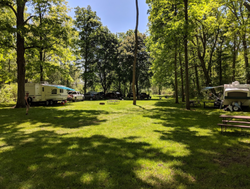 A sunny campsite with green grass, trees, and parked RVs, surrounded by a peaceful natural setting.
