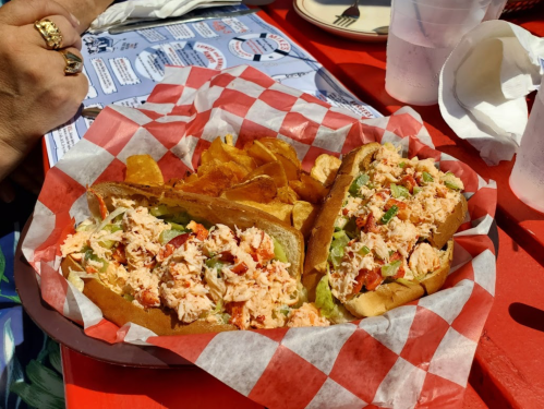 Two lobster rolls filled with lobster salad, served with a side of potato chips, on a red-checkered paper.