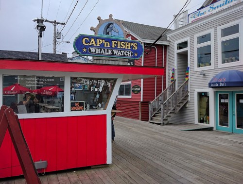 Sign for Cap'n Fish's Whale Watch in a coastal town, with colorful buildings and outdoor seating nearby.