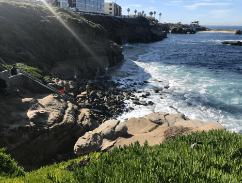 A coastal scene with rocky shores, gentle waves, and people exploring near the water, surrounded by greenery and buildings.