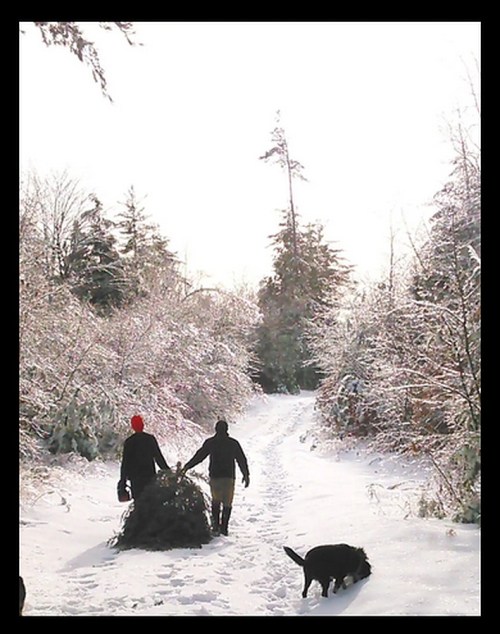 A person in a red hat and another in black walk hand in hand through a snowy path with a dog beside them.