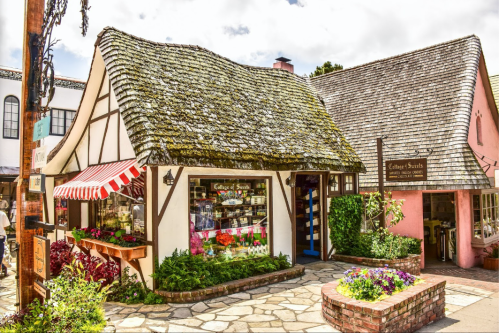 Charming cottage-style shop with a thatched roof, colorful flowers, and a welcoming entrance in a quaint village setting.