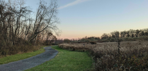 A winding path through a grassy field, surrounded by bare trees and a soft sunset sky.