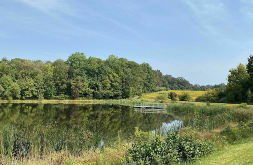 A serene pond surrounded by lush greenery and trees under a clear blue sky.