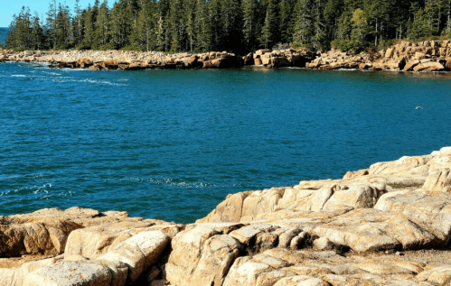 Rocky shoreline with clear blue water and a backdrop of lush green trees.