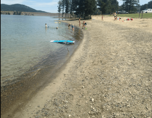 A sandy beach by a lake with people swimming, playing, and relaxing under trees on a sunny day.