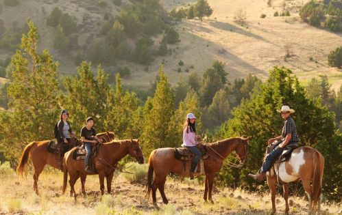 Four people on horseback in a scenic, sunlit landscape with trees and hills in the background.