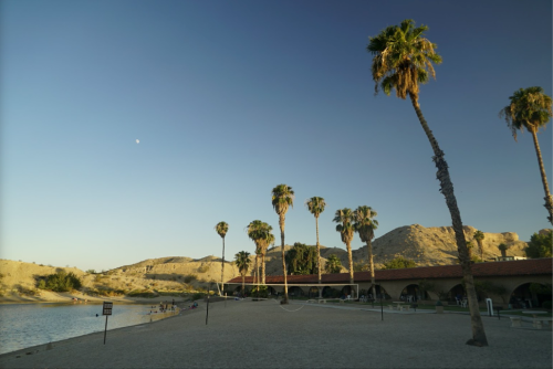 A serene lakeside scene with palm trees, sandy shore, and hills under a clear blue sky with a crescent moon.