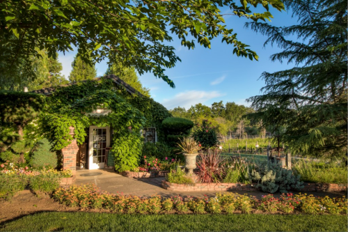A charming garden with lush greenery, colorful flowers, and a cozy house surrounded by trees and a clear blue sky.