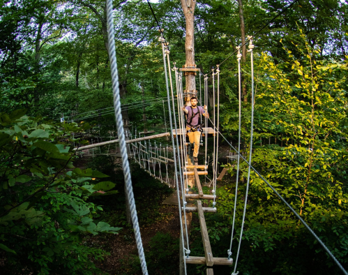 A person stands on a wooden rope bridge high among trees in a lush green forest.