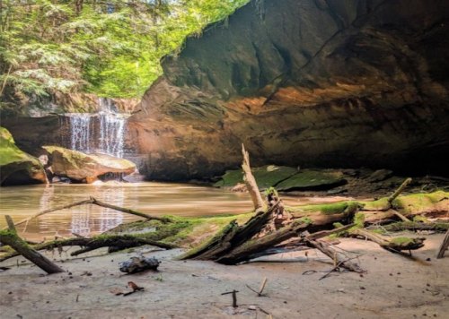 A serene forest scene featuring a small waterfall cascading into a calm pool, surrounded by mossy rocks and fallen branches.