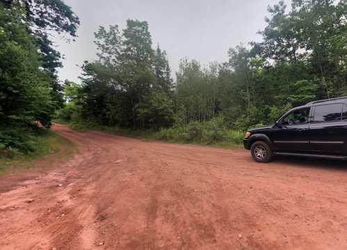 A black SUV parked on a dirt road surrounded by lush green trees and foliage.