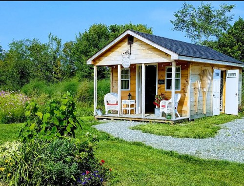 A charming wooden cabin with a porch, surrounded by greenery and flowers, set against a clear blue sky.