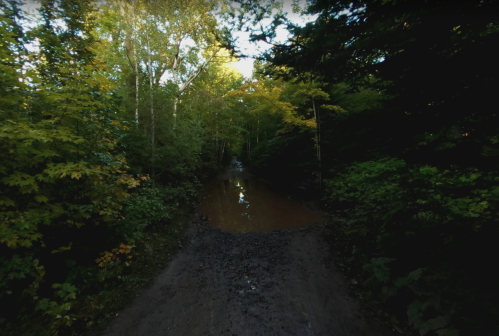 A muddy path through a dense forest, with trees lining both sides and a small puddle reflecting the surroundings.