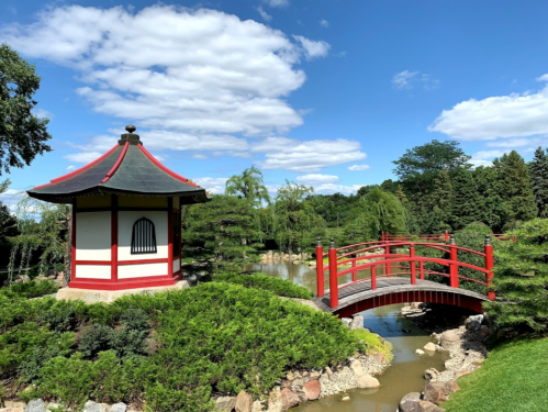 A serene garden scene featuring a red bridge and a pagoda beside a pond, surrounded by lush greenery and blue skies.