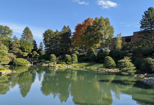 A serene garden scene with a pond, lush greenery, and colorful trees reflecting in the water under a clear blue sky.