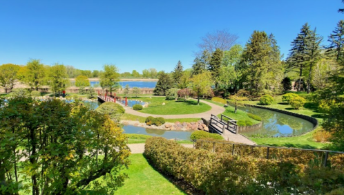 A serene park scene featuring a pond, lush greenery, and a wooden bridge under a clear blue sky.