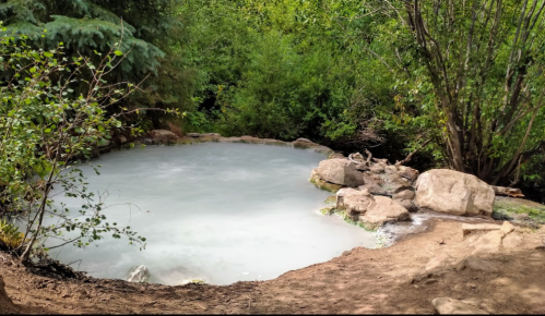 A serene, misty hot spring surrounded by lush greenery and rocky terrain.