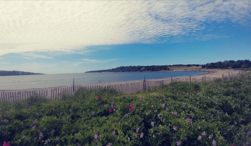 A serene coastal scene with a sandy beach, lush greenery, and a blue sky filled with clouds.