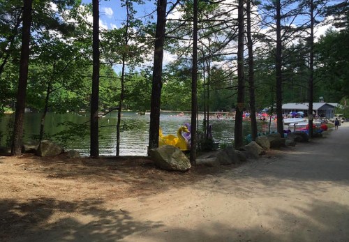 A serene lake surrounded by trees, with people enjoying activities on the water and a path leading to the shore.