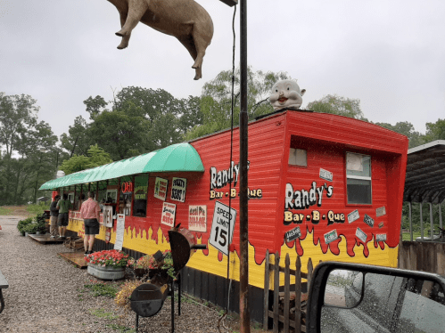A colorful barbecue restaurant with a pig statue on the roof, surrounded by greenery and gravel. Rainy weather.