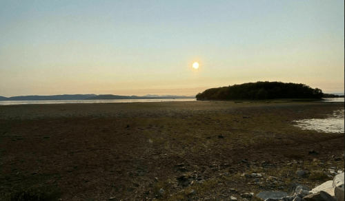 Sunset over a calm, low-tide shoreline with distant mountains and a small island in the background.