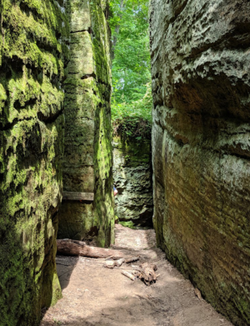 A narrow, moss-covered canyon with tall rock walls and a small path leading through the greenery.